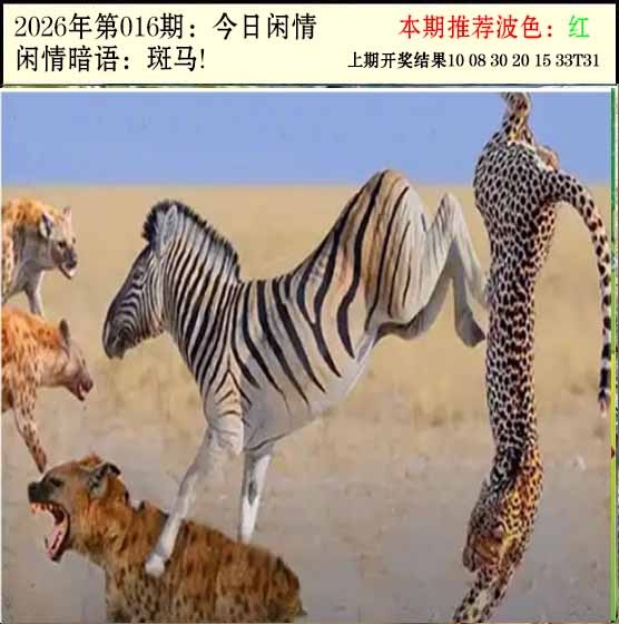 016期今日闲情2[图]