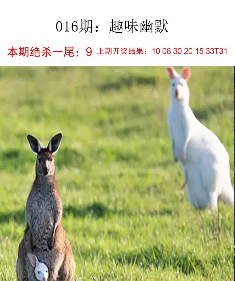 016期趣味幽默[图]