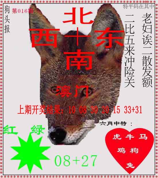 016期狗头报[图]
