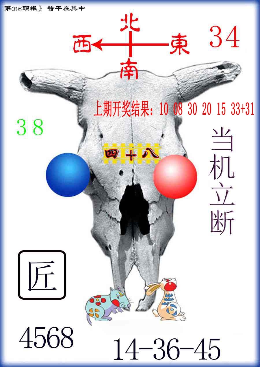 016期牛头报[图]