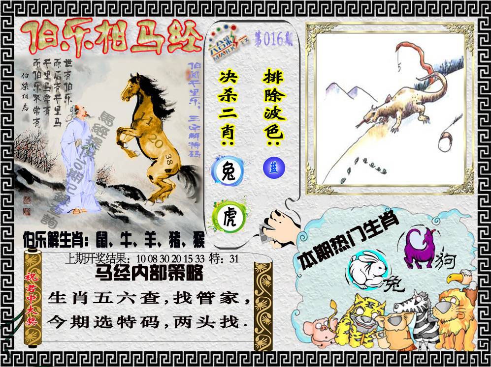 016期伯乐相马经[图]