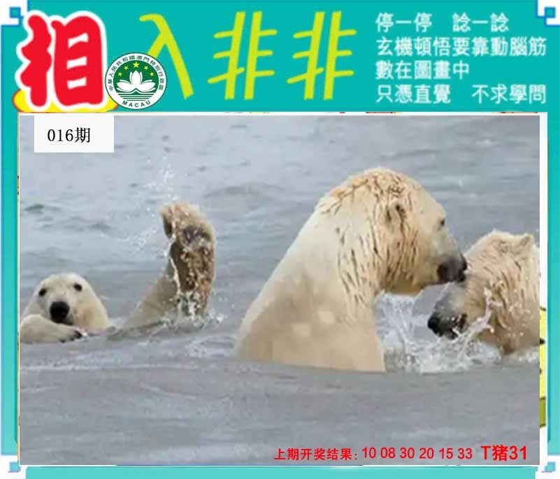 016期相入非非[图]