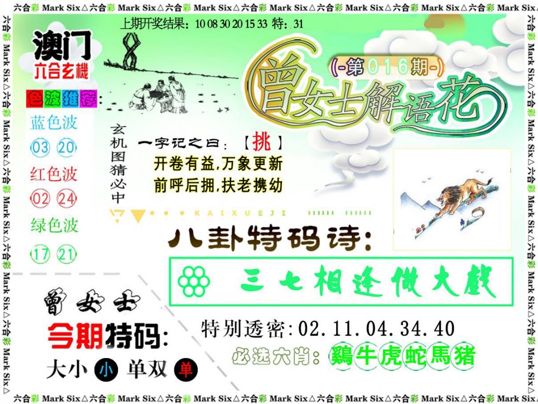 016期曾女士解语花[图]