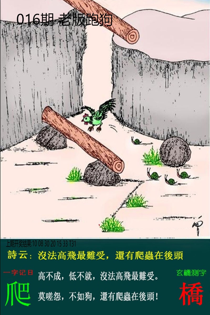 016期老板跑狗[图]