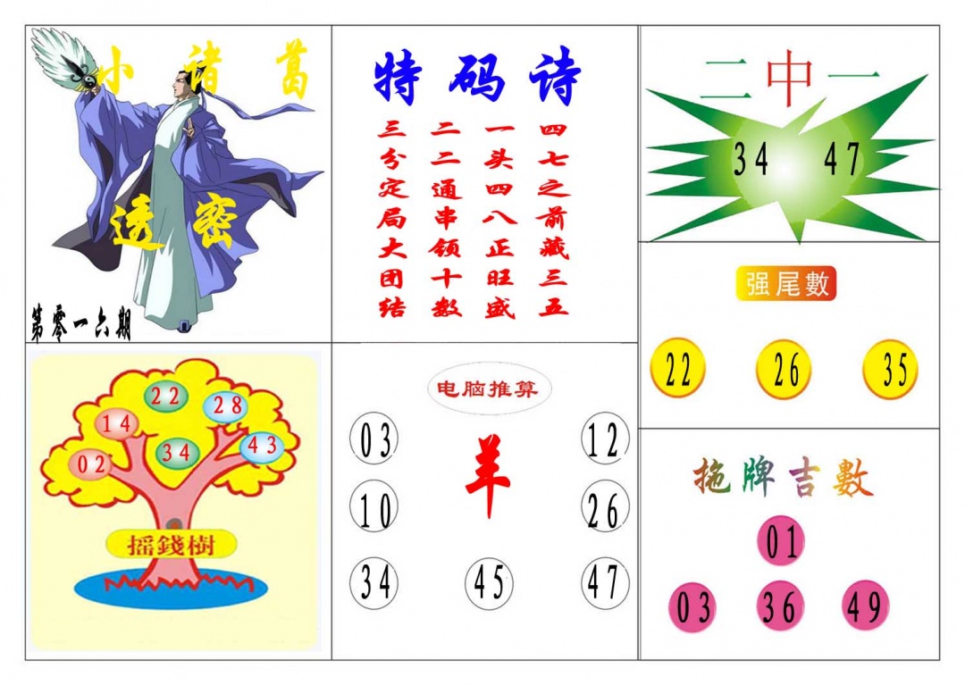 016期小诸葛[图]