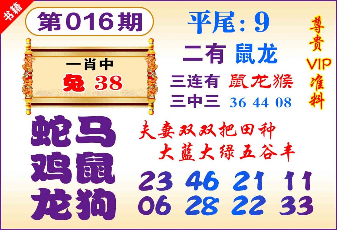 016期澳门九龙天书[图]