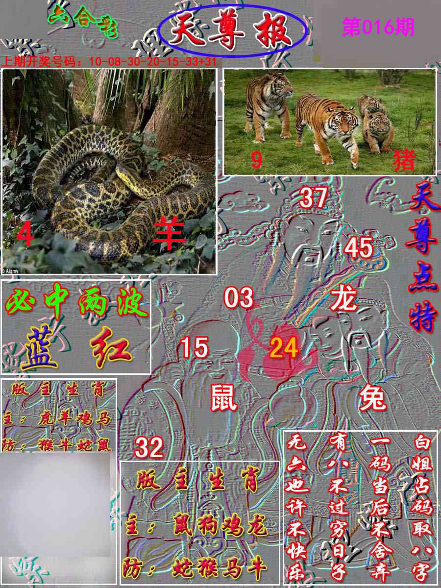 016期天尊报[图]