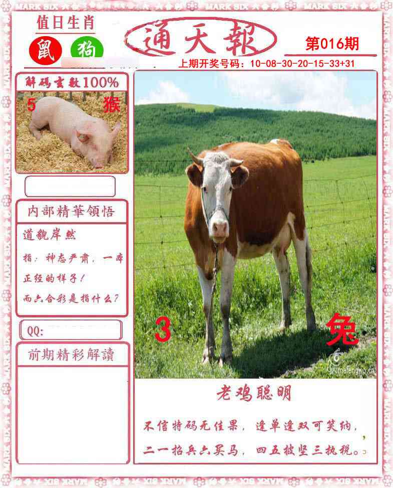 016期正版通天报[图]