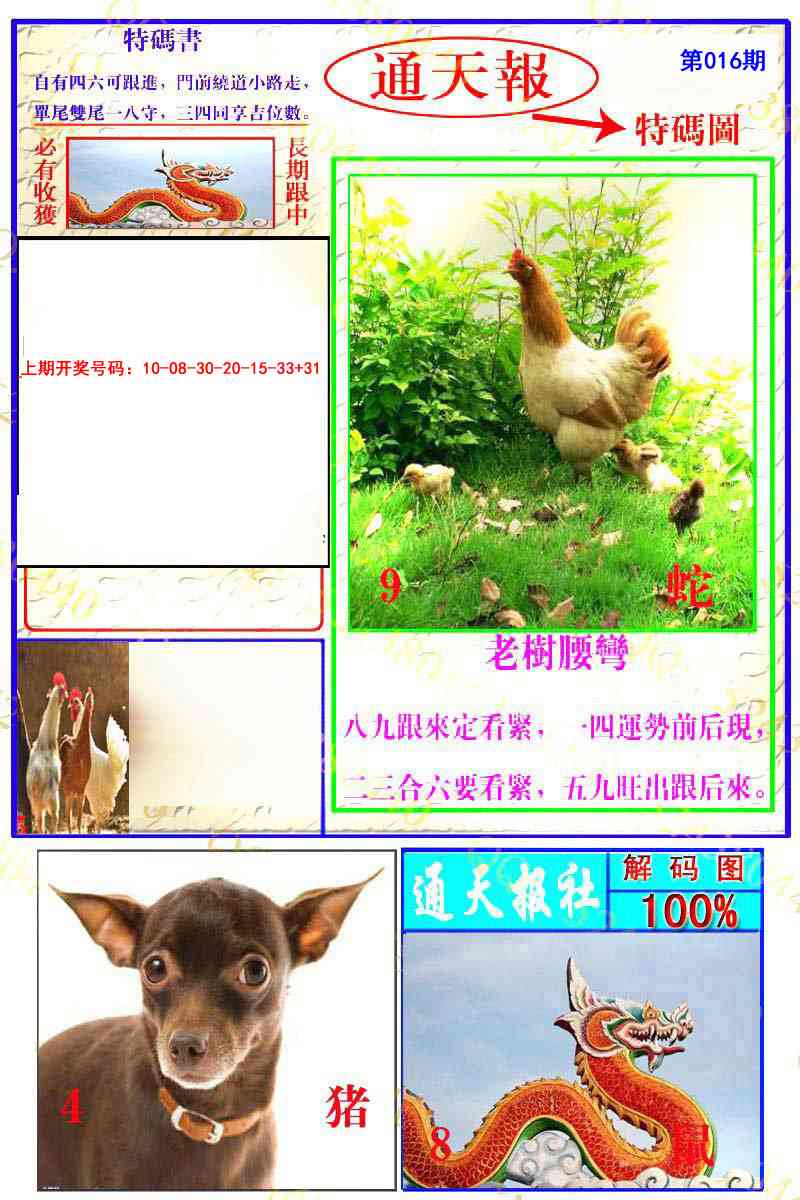 016期通天特解图[图]