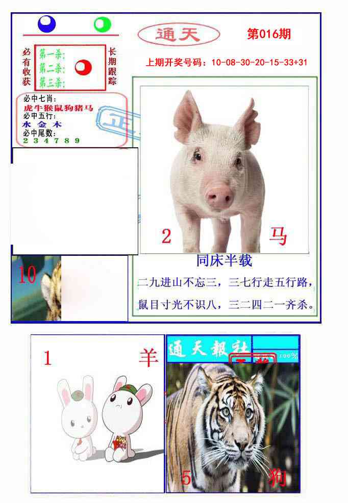 016期通天杀波图2[图]