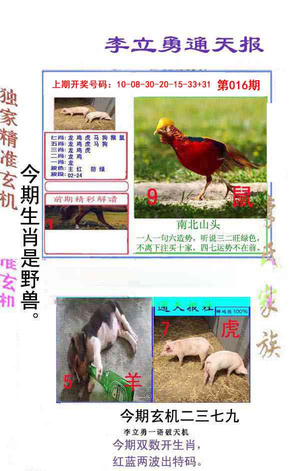016期李立勇通天报[图]