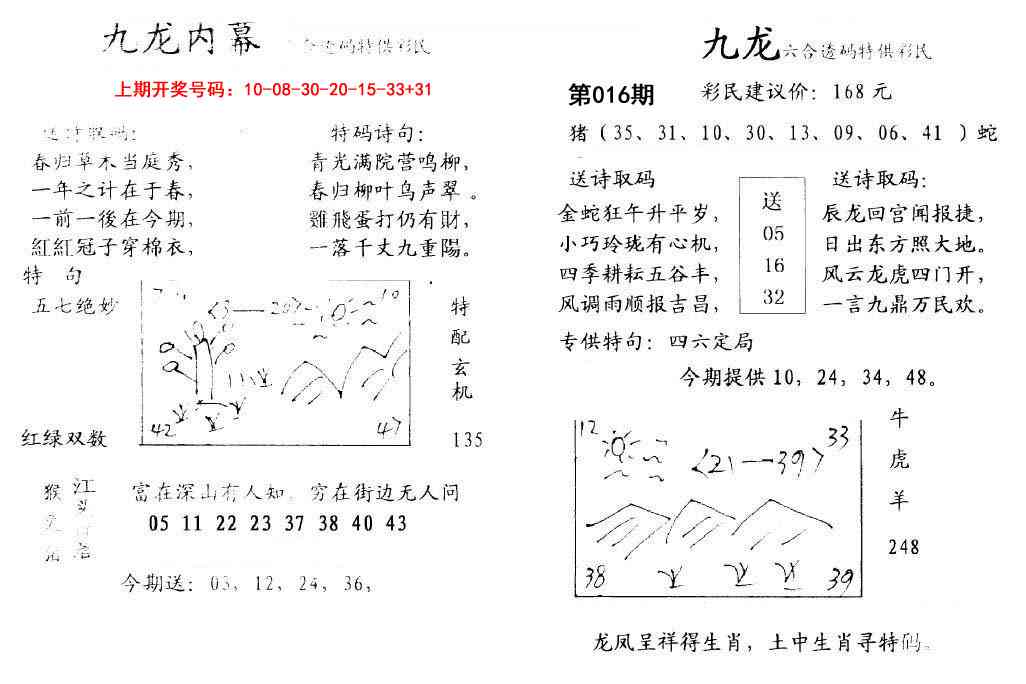 016期九龙内幕[图]