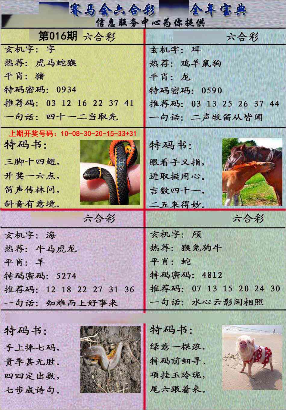 016期宝典报[图]