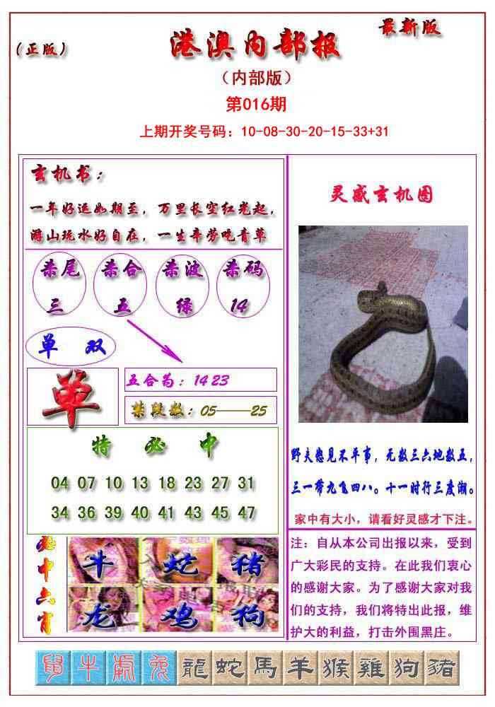 016期港澳报[图]