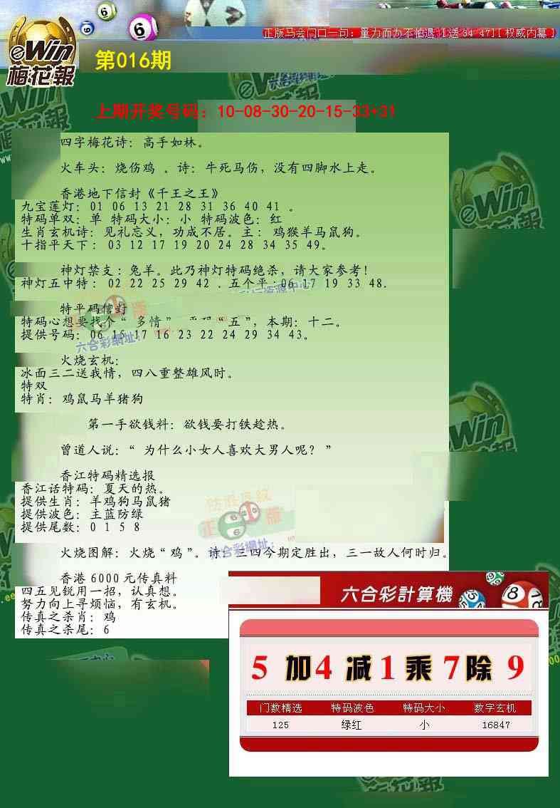 016期梅花报[图]