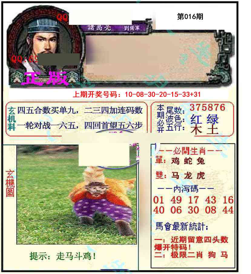 016期正宗孔明[图]