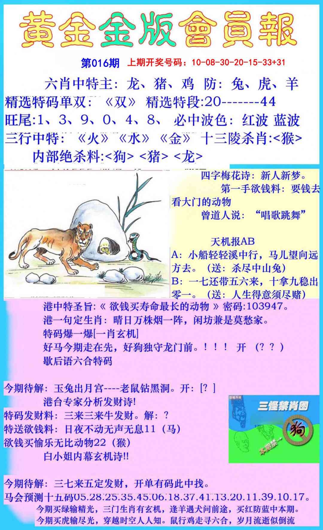 016期黄金金版会员报[图]