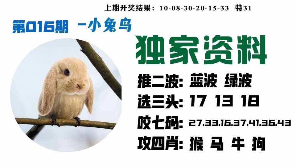 016期小兔鸟[图]